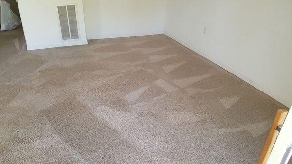 Oxi Fresh Carpet Cleaning