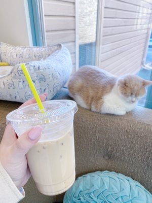 Iced Chai Tea Latte + (sleepy loaf :'))