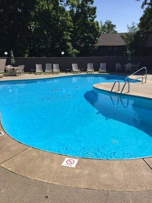 Daily or weekly maintenance for commercial pools