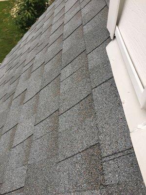 Nails put into exposed shingles by Water Tight