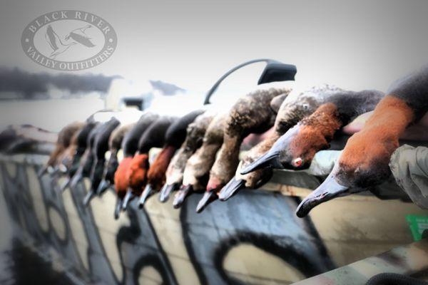 Black River Valley Outfitters