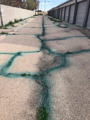 Driveway And Concrete Crack Weed Spray Treatment