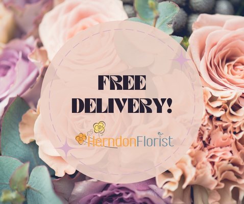 Free flower delivery in Reston, VA