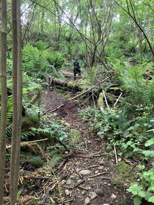 6/2022: trails are nice, not ADU accessible, but make for a good hike with varying elevation.