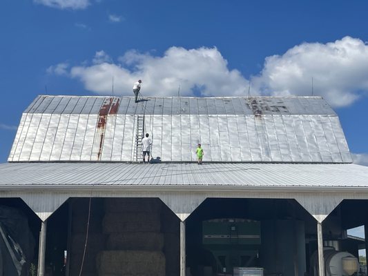 Preparing to paint a barn roof