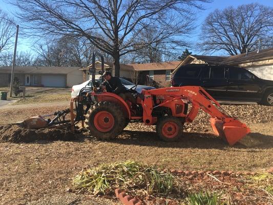 Stump Removal