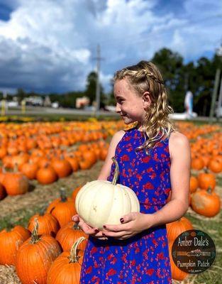 Amber Dale’s Pumpkin Patch