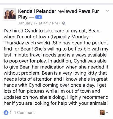 Facebook review for Paws Fur Play!