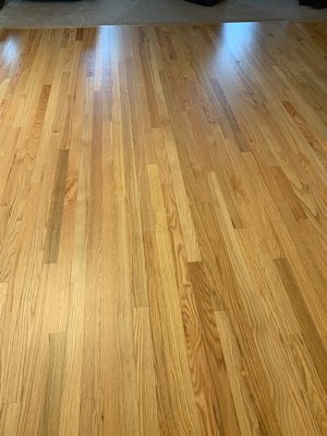 Kampfer Hardwood Floors