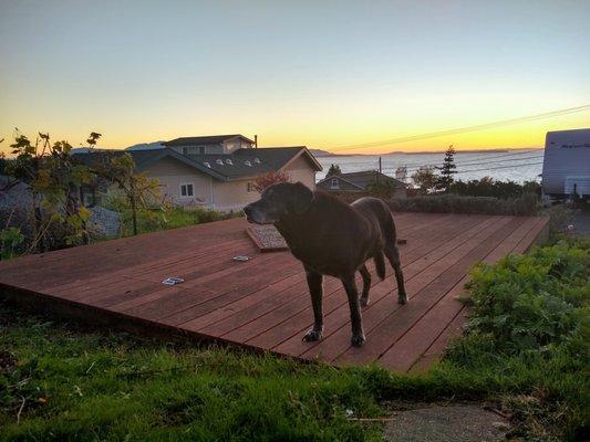 Best friend over the Strait of Georgia, San Juan Islands.