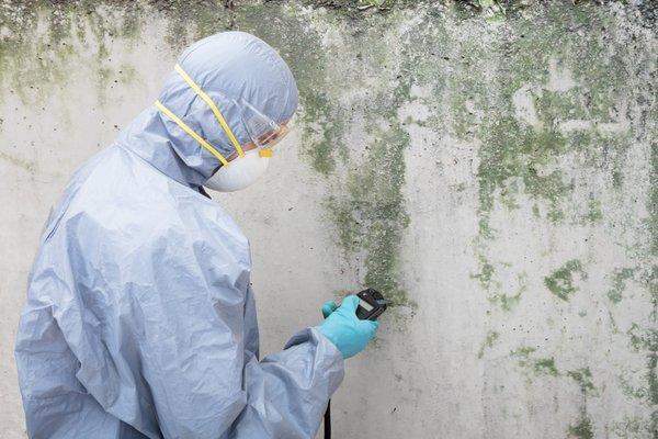 Mold Removal New Orleans