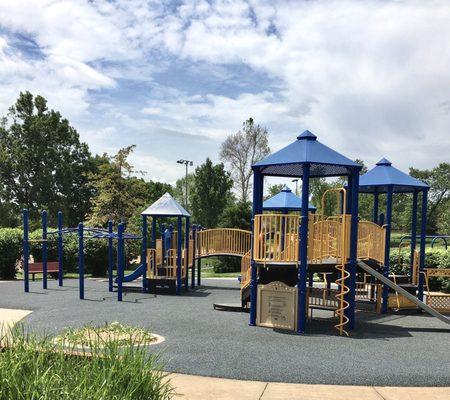 A rubberized surface supports playground safety.