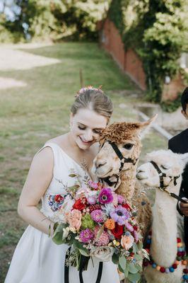 The bouquet (and alpacas of course) (Photographer: Photography and design by Lauren)