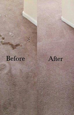 Pet stains on the left and on the right no Pet stains