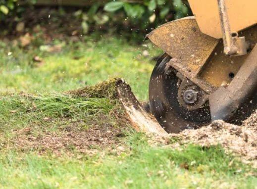 Stump Grinding