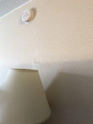 Stains on the wall