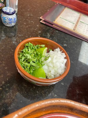 Cilantro, Limes and Onion