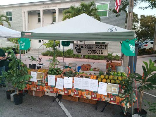 Nice papayas, ma'am...