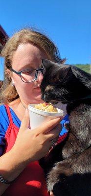 Even Bombay cats love the pumpkin pie ice cream.