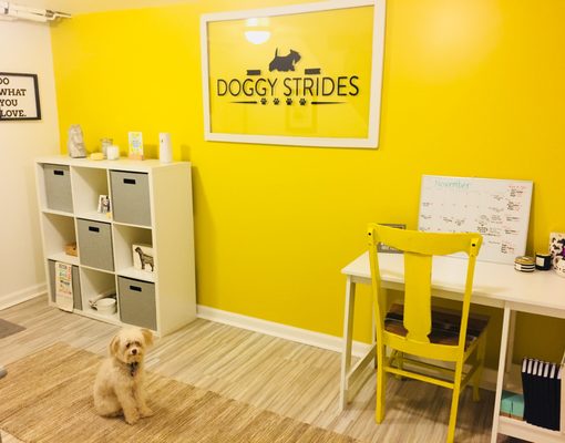 Doggy Strides Pet Sitting & Dog Walking