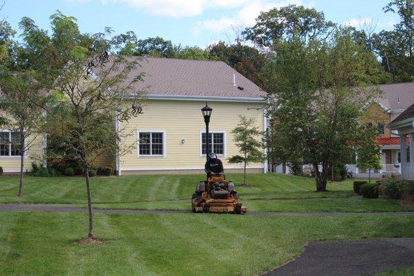 Commercial mowing service.