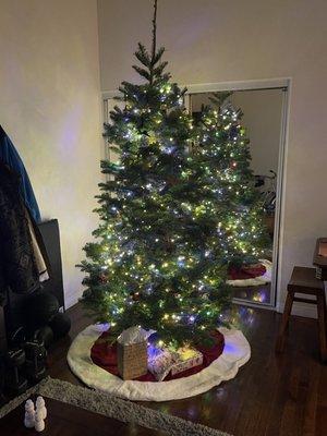 Our tree (photo taken on the second night Dec 4th) with white lights