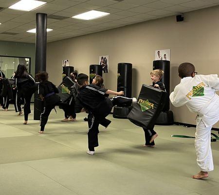 Premier Martial Arts of Richmond