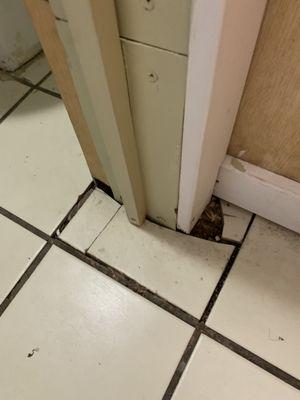 Tiles broken, laid, not glued, unfinished door frame repair,