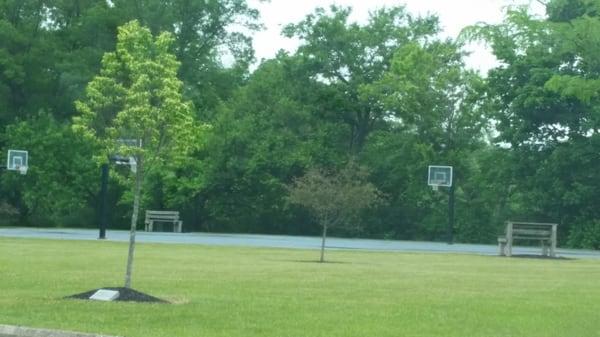 Basketball Court with nice nets