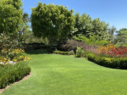 Point Loma residence back yard