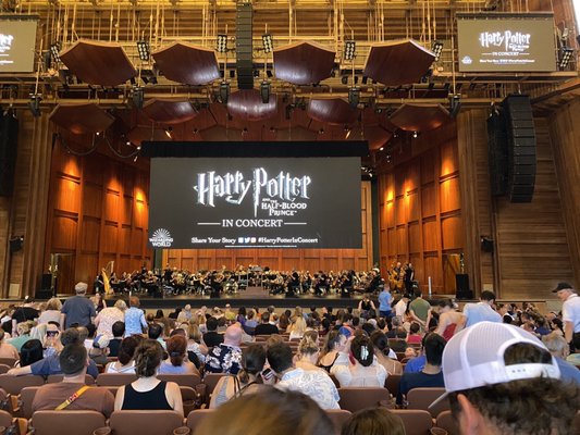 Harry Potter with the National Symphony Orchestra.