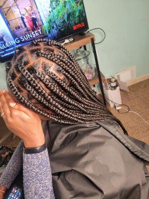 Knottless Box Braids