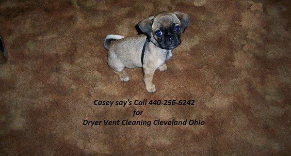 Dryer Vent Cleaning Cleveland Ohio