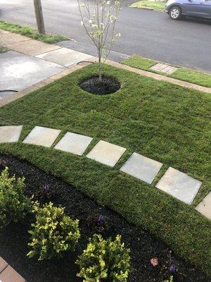 TGW  Landscaping & Contracting