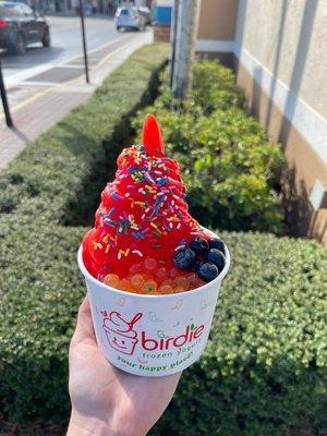 Birdie Frozen Yogurt