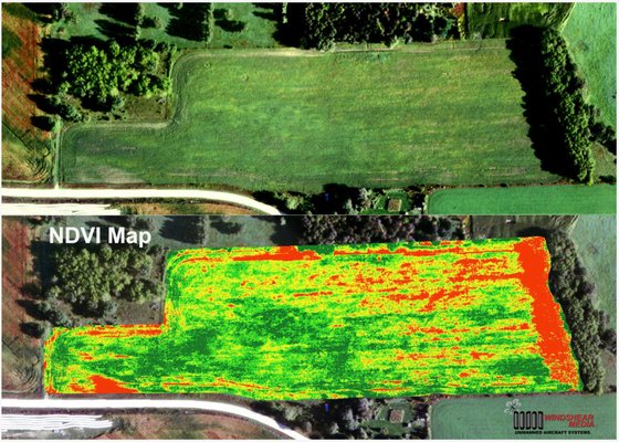 NDVI mapping created with our agriculture platforms.