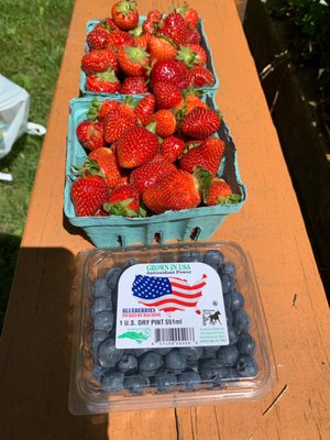 Jersey berry season is in full swing!!