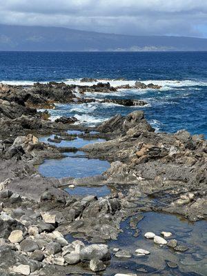 Kapalua Coastal Trail