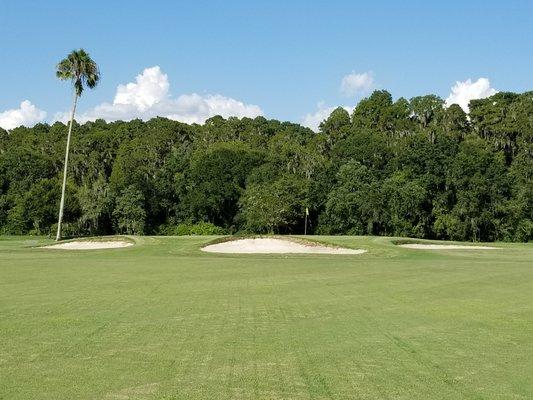 #14 Green at the Bartow Golf Course and Mulligan's Sports Bar & Grill