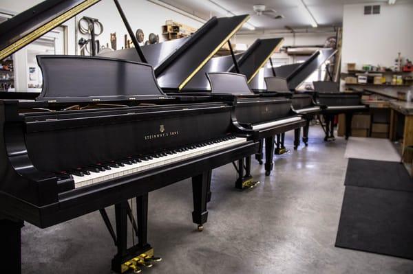 Steinway & Sons Model D Concert Grand Pianos. This is just a sample of our concert grand inventory!