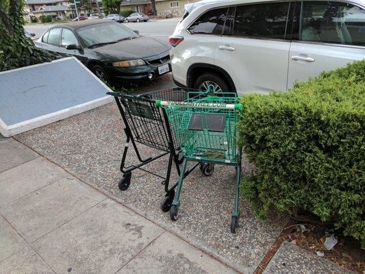 GET YOUR DAMN CARTS OFF THE STREETS