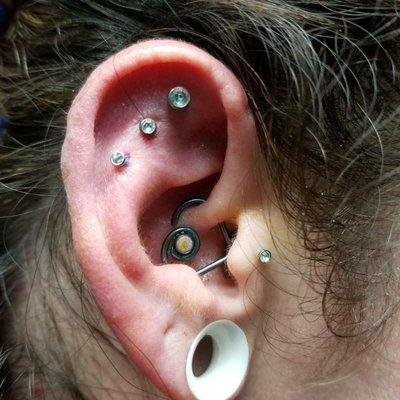 Triple cartilage