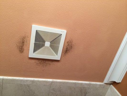 Nice mold in the bathroom