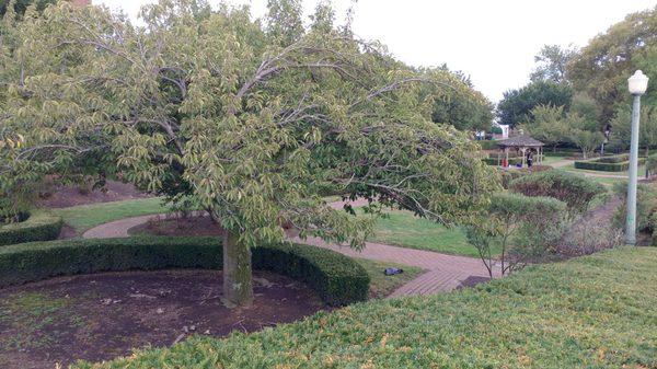 Harrisburg Sunken Garden