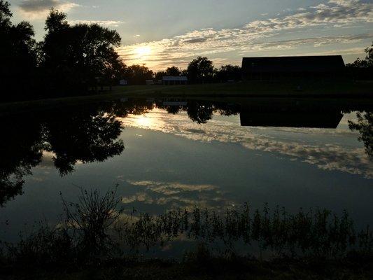 Evening light on the pond