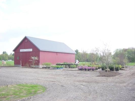 Amherst Nurseries