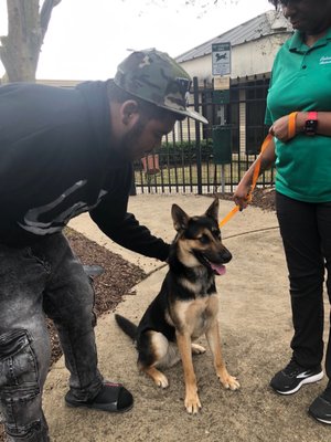 My son Zion and his dog Isaiah.  We are looking to enroll him into basic obedience training.  Please contact us avery.marsha@yahoo.com.