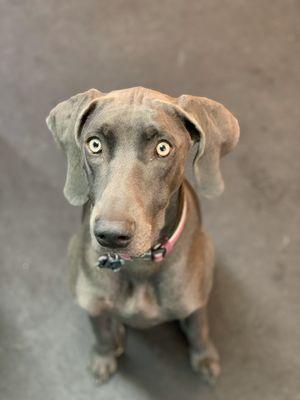 Lexi and those eyes