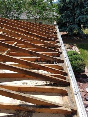 same mold job with mold through out attic.