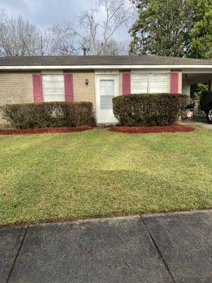 Clean up, hedge trim and mulch application